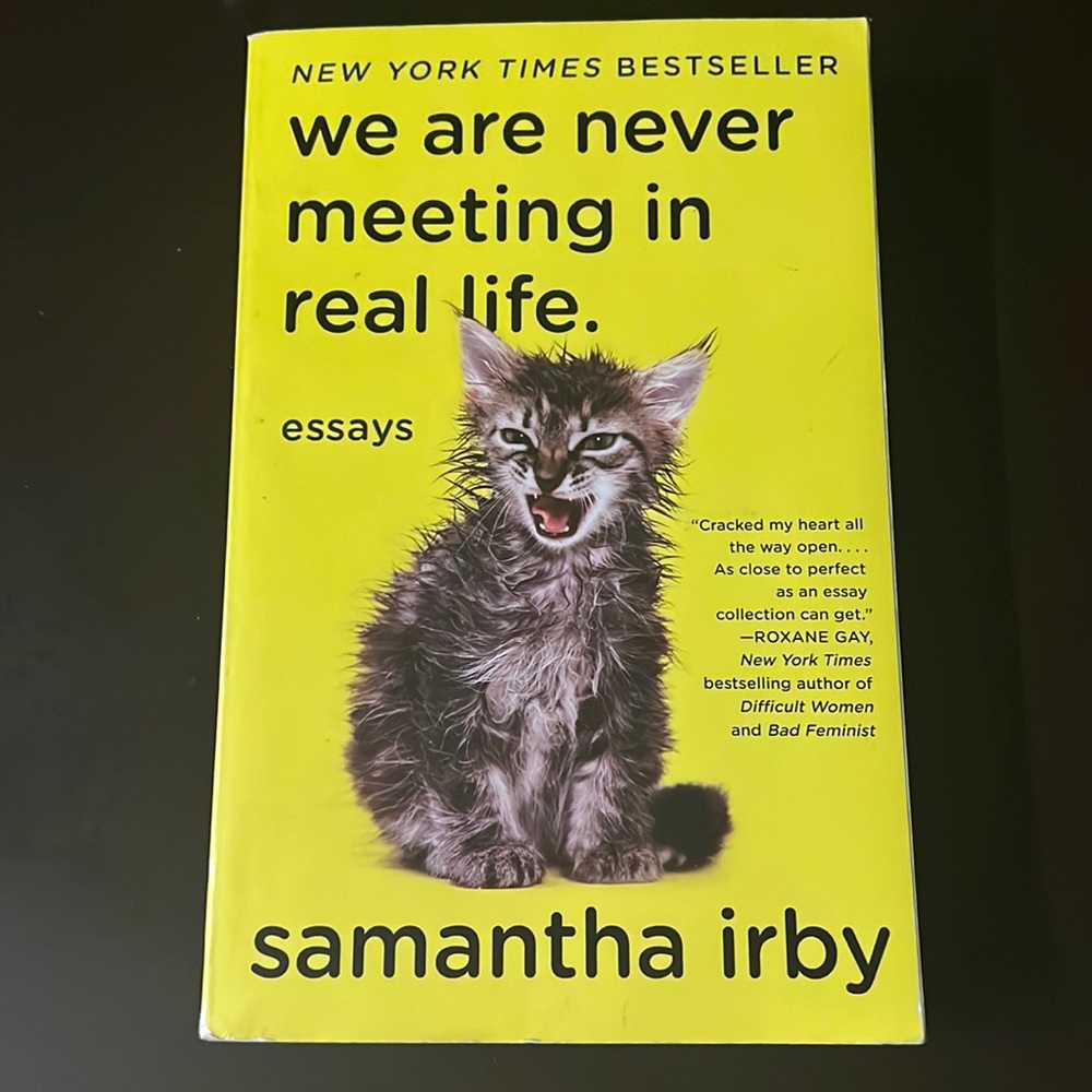 We are never meeting in real life book